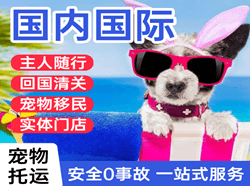 天吉泰航空空运国际宠物托运 【国